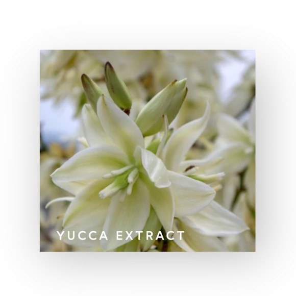 new True Botanicals ❀ Tik Tok Ginger Turmeric Cleansing Balm ❀ Luxe Travel ❀ Box - Picture 7 of 16